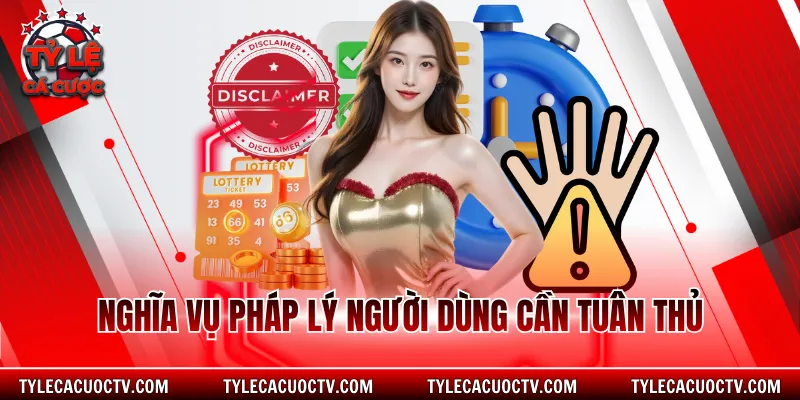 Nghĩa vụ pháp lý người dùng cần tuân thủ