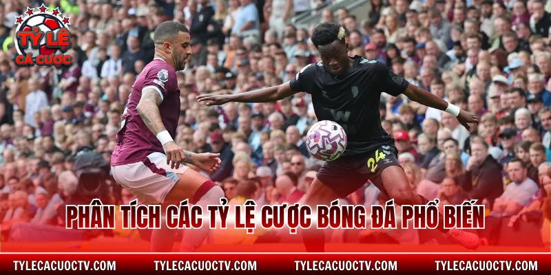 Phân tích các tỷ lệ cược bóng đá phổ biến