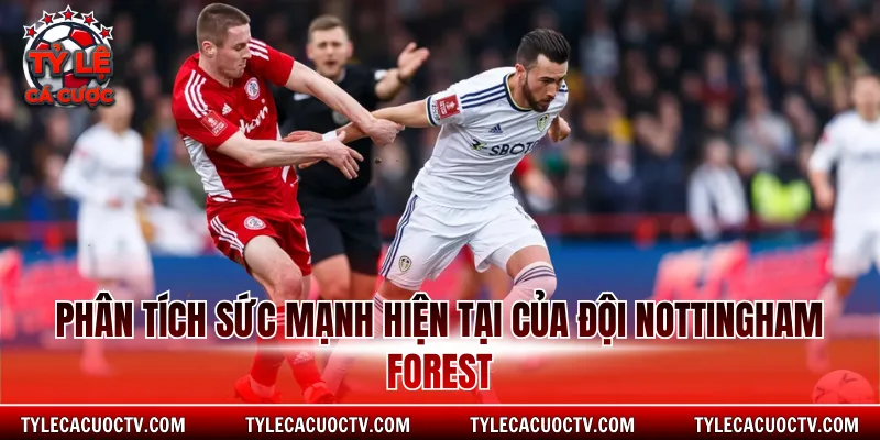 Phân tích sức mạnh hiện tại của đội Nottingham Forest