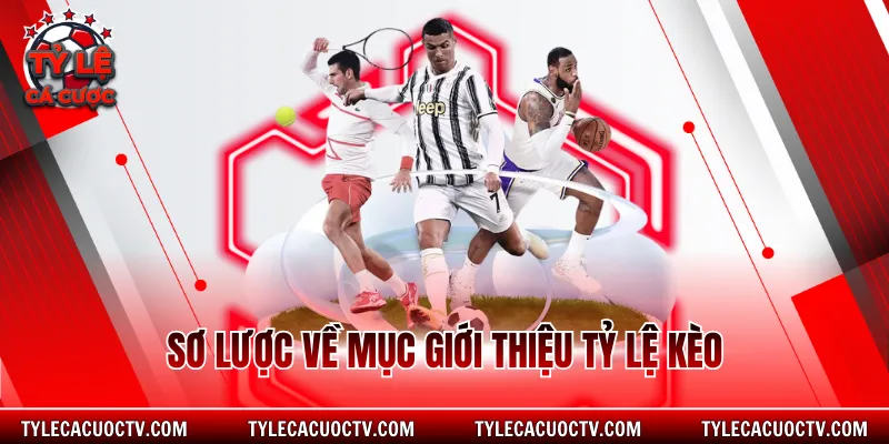 Sơ lược về mục giới thiệu tỷ lệ kèo