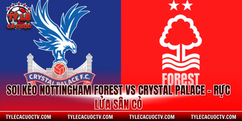 Soi kèo Nottingham Forest vs Crystal Palace
