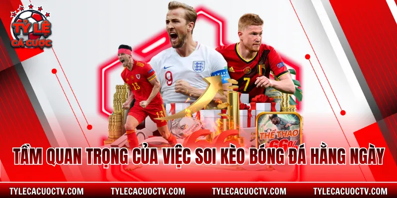 Tầm quan trọng của việc soi kèo bóng đá hằng ngày