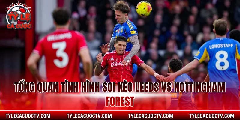 Tổng quan tình hình soi kèo Leeds vs Nottingham Forest